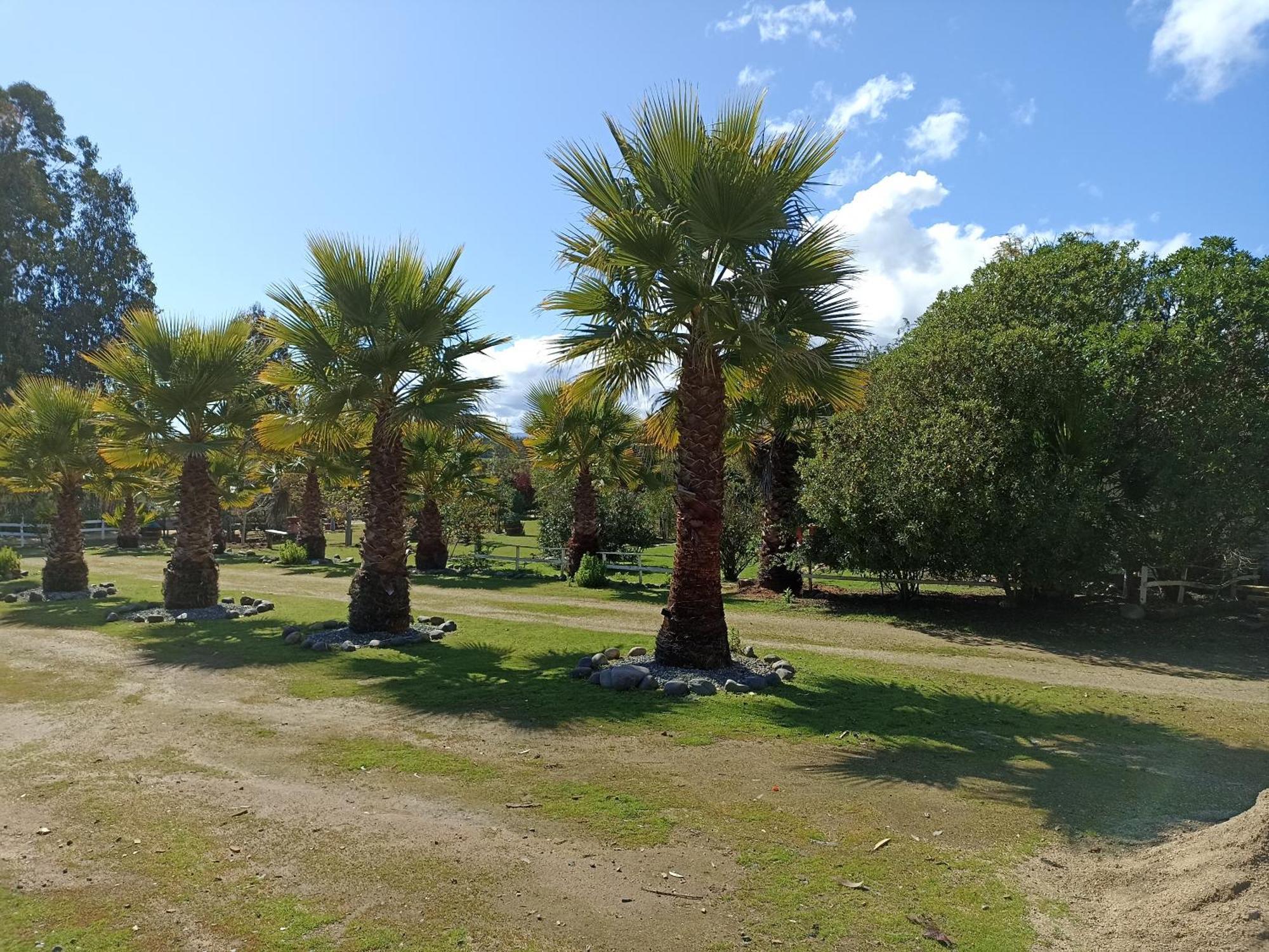 El Algarrobo Zewnętrze zdjęcie